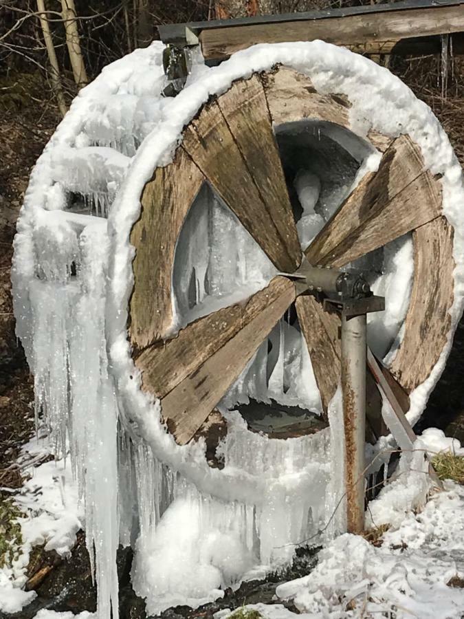Traum Am See Lejlighed Winterberg Eksteriør billede